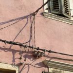 Uncategorized